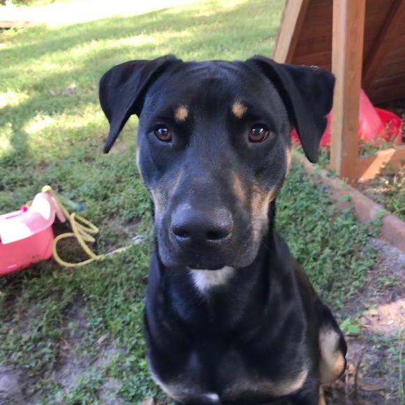 Meet your Posher, Carol - Picture 10 of 12